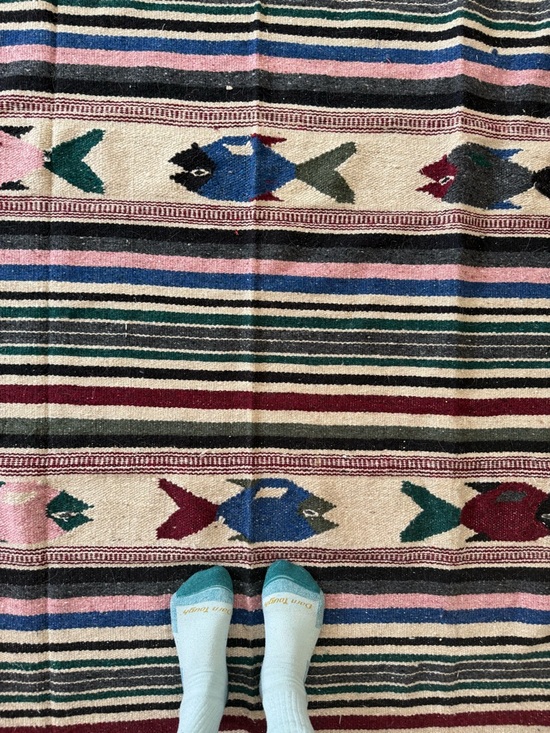 Handwoven Mexican Fish Pattern Throw Rug - Multicolor - Picture 3 of 7